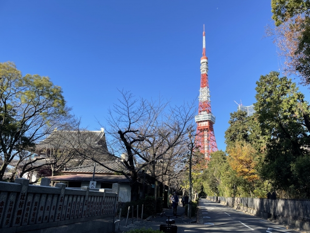 11月の東京